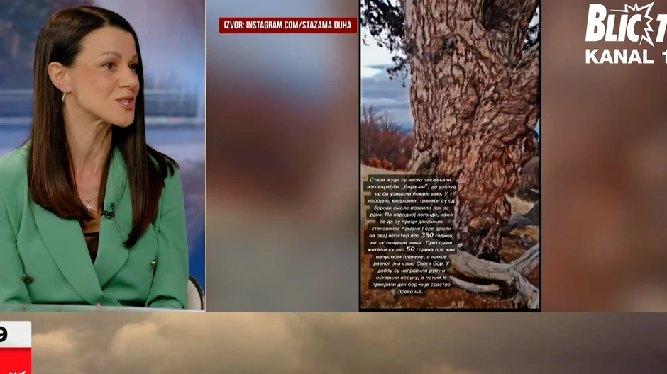 Profesorka istorije iz Užica Ivana Janković