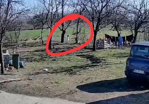 Snimak sa nadzorne kamere, nestala Dunja Marković