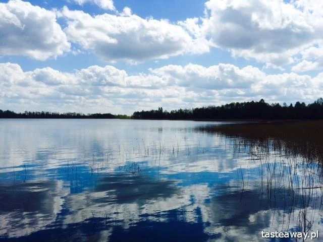 Kajaki, cisza i litewska kuchnia  – Suwalszczyzna