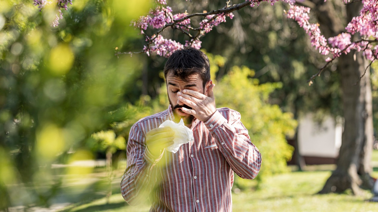 Peľová sezóna brezy sa končí, prichádza ďalší silný alergén. (ilustračné foto)