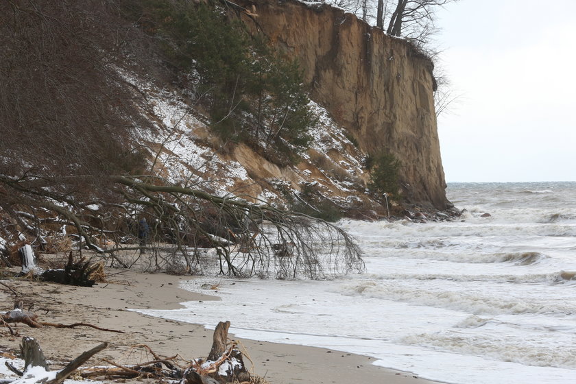 Makabryczne odkrycie na plaży w Gdyni. Spacerowicze natknęli się na zwłoki