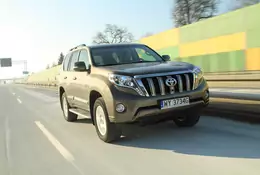 Toyota Land Cruiser | terenowa ikona | test