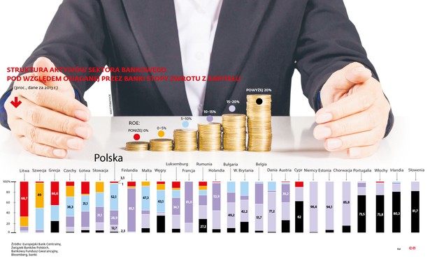 Struktura aktywów sektora bankowego