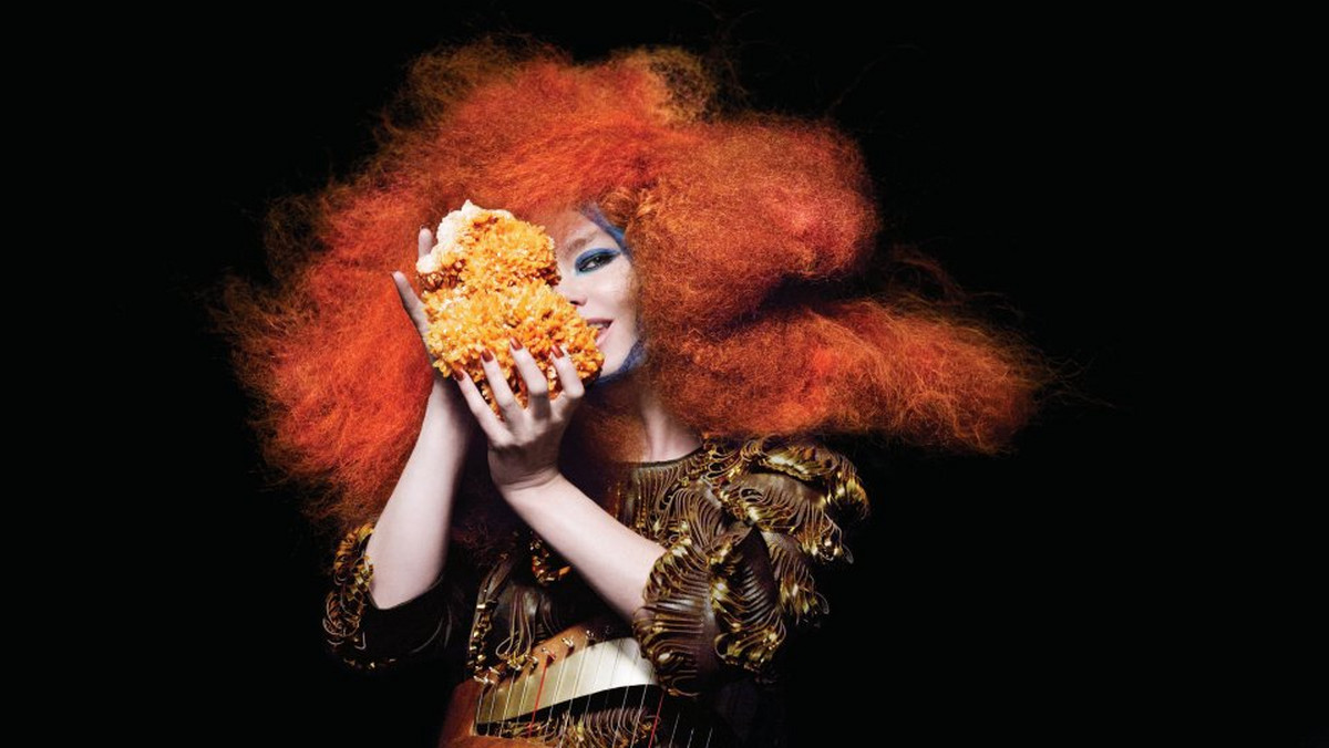 Björk nie była zainteresowana duetem z Labrinthem.