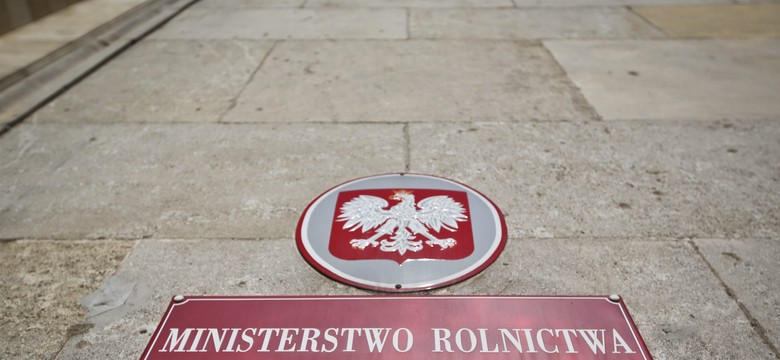 Wiceminister rolnictwa z koronawirusem. Kwarantanna w kierownictwie resortu