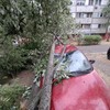 Nevreme, ilustracija