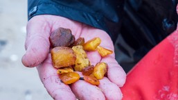 "aż trudno uwierzyć". bałtyckie plaże pełne bursztynu. spacerowicze zb