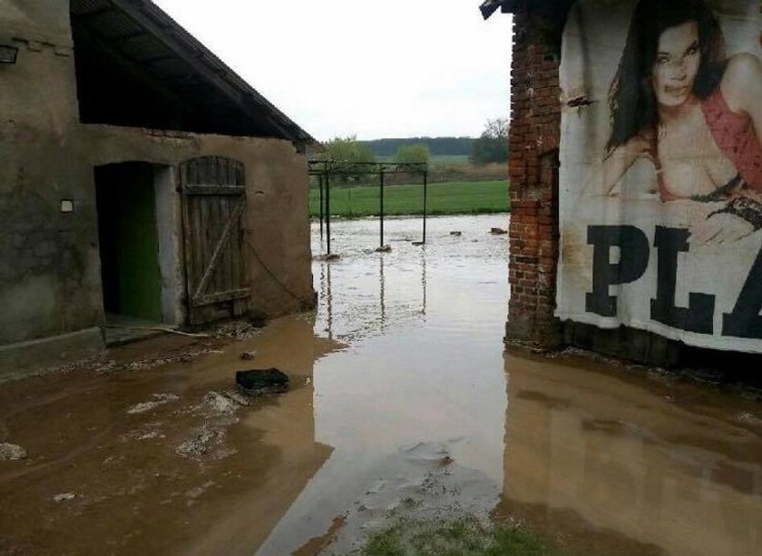 Edyta Górniak zbiera na dach dla pani Basi