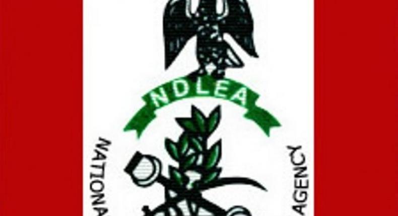 NDLEA in Abia calls for establishment of drug rehabilitation centre