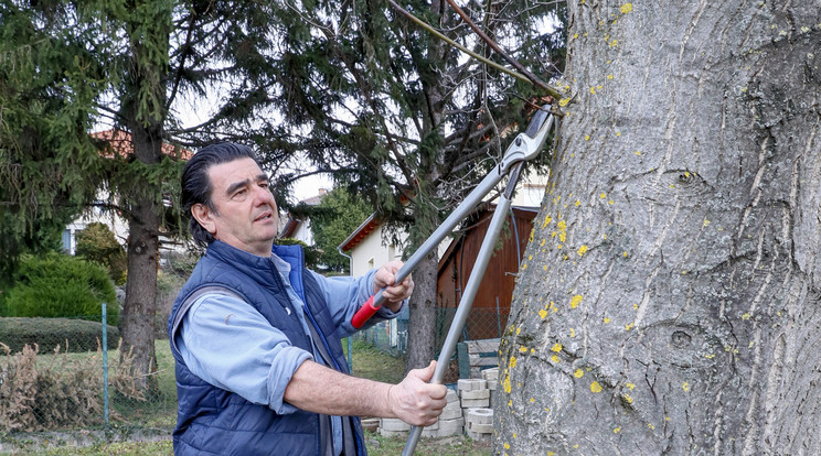 A pápai rezidencián 55 hektáros területet igazgatott, most baranyai kerteket szépít Alessandro Reali / Fotó: Fuszek Gábor