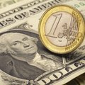 Złoty umacnia się. Notowania euro i dolar jak przed wojną