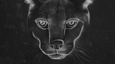 DISCLOSURE - "Caracal"