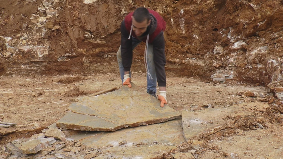 Živojin Mišić iz Struganika u Mionici, potomak vojskovođe Živojina Mišića