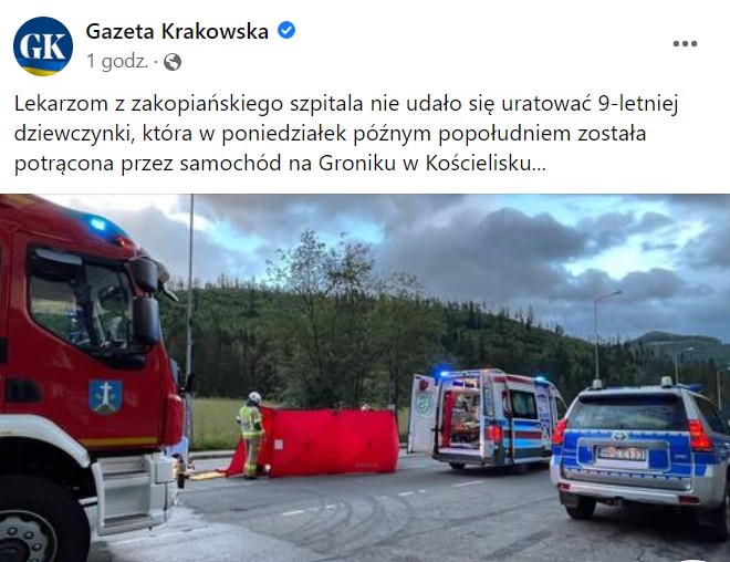 Dziewczynki nie udało się uratować