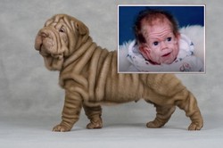 Gdy się urodził, miał skórę jak shar pei. Jak wygląda po 30 latach?
