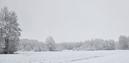 To będzie zimowy tydzień. W nocy może być cieplej niż w dzień