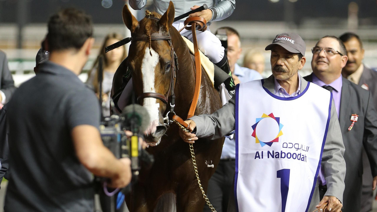 Niesamowite emocje towarzyszyły sponsorowanemu przez Saeed &amp; Mohammed Al Naboodah Group ósmemu spotkaniu w ramach Dubai World Cup Carnival, które odbyło się w czwartek 25 lutego na torze wyścigowym Meydan.