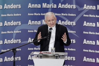 Kaczyński o kandydaturze Anny Marii Anders do Senatu: To dobra reprezentacja Polaków