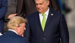 Orban z poparciem Donalda Trumpa. W kwietniu na Węgrzech wybory parlamentarne