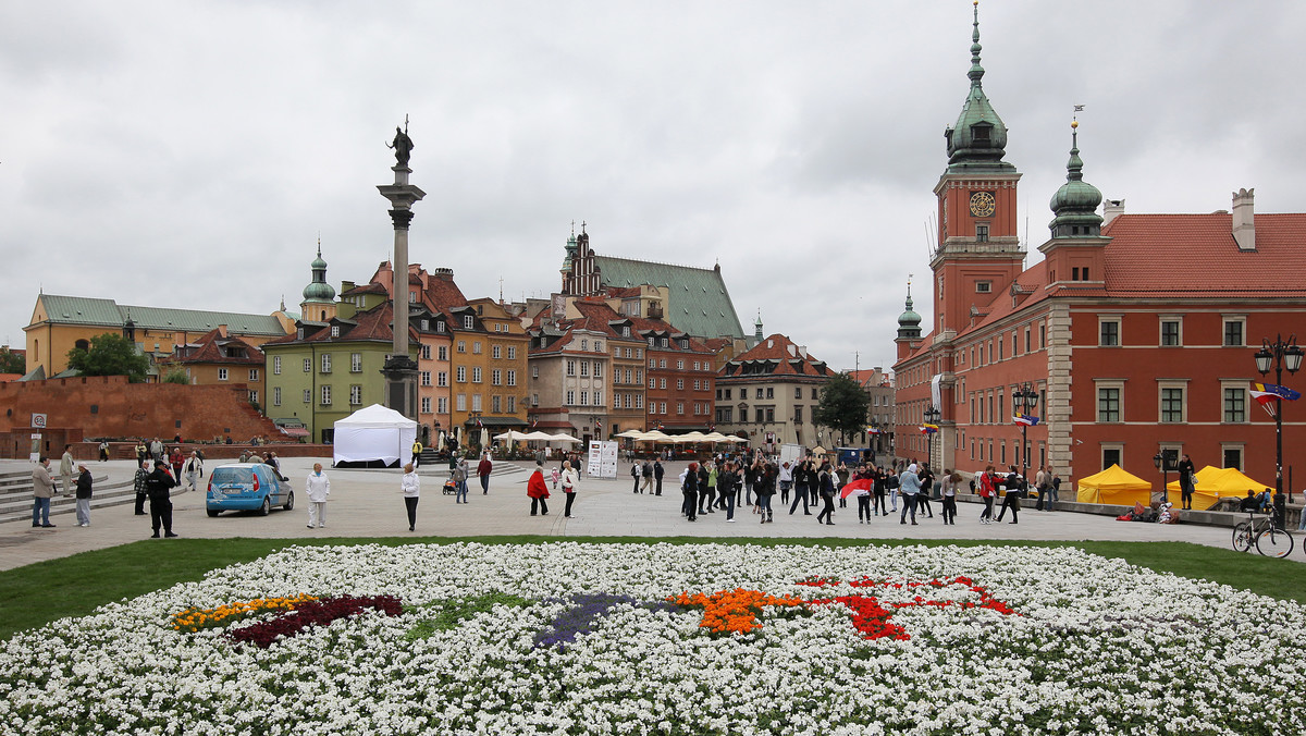 14 tysięcy kwiatów doniczkowych pojawiło się na Placu Zamkowym w Warszawie tworząc gigantyczny dywan kwiatowy z motywem logo polskiej prezydencji.