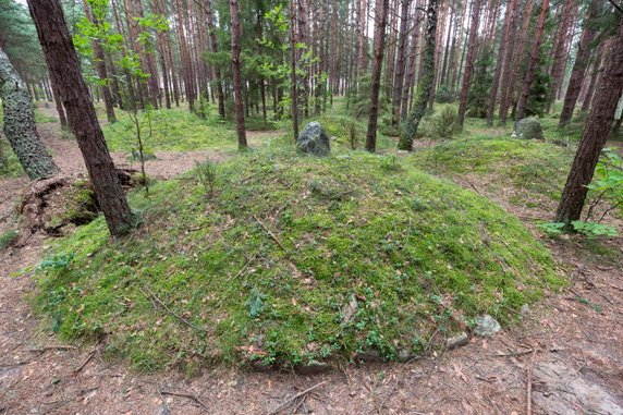 Polskie Stonehenge - zagadkowe kamienne kręgi w Węsiorach