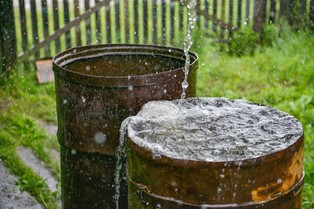 Masz trawnik lub ogród? Władze mogą wprowadzić zakaz podlewania: jak się przygotować?