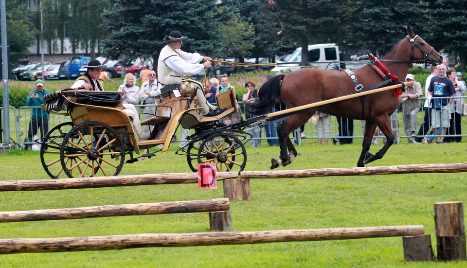 Mistrzostwa Podhala w Powożeniu