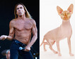 Iggy Pop i kot rasy Sphynx (fot. Getty Images)