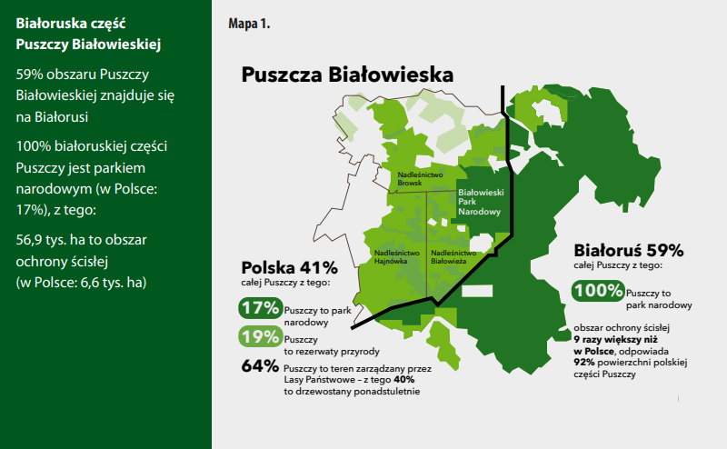 Puszcza Białowieska – raport z dewastacji. Wyniki społecznej kontroli działalności Lasów Państwowych w Puszczy Białowieskiej w 2017 roku