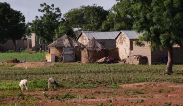 Farma u Africi
