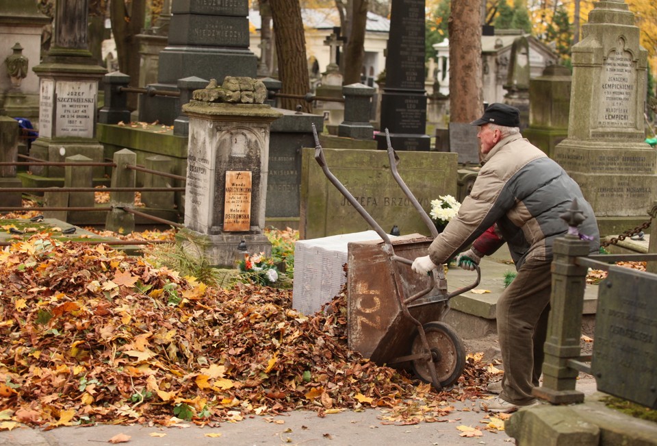 Prace porządkowe na cmentarzu, fot. PAP/Tomasz Gzell