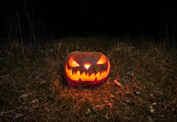 Ksiądz zniszczył dzieciom dynie na Halloween. "Były symbolem satanistycznego święta"