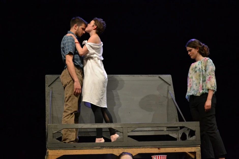 „Sindrom slatke krvi“ - Fakultet dramskih umetnosti Beograd