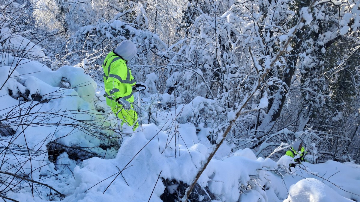 Kvarovi zbog nevremena, popravka 