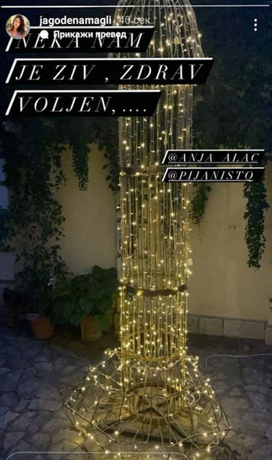 Objava Jelisavete Orašanin