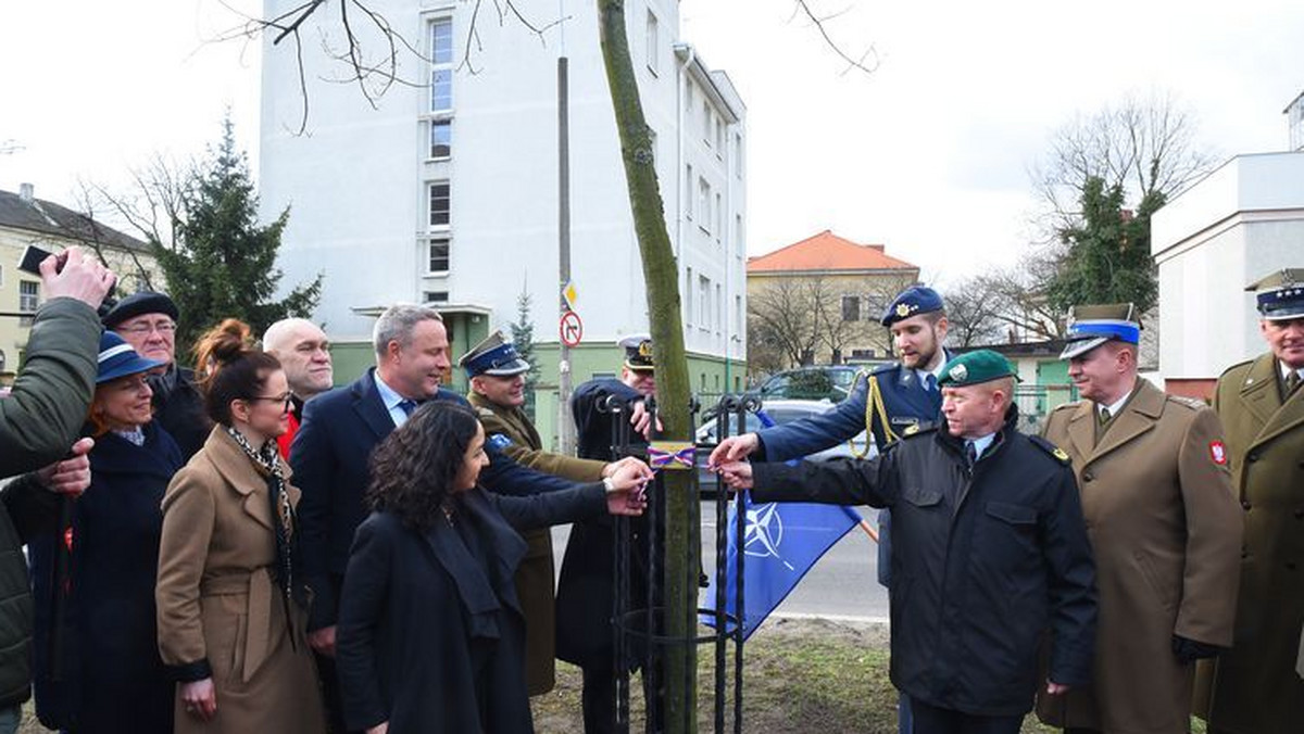 W bydgoskim Poczcie Dębów Honorowych w al. Ossolińskich odsłonięto dąb imienia Zbigniewa Brzezińskiego. Uroczystość miała związek z 20. rocznicą wstąpienia Polski do NATO.