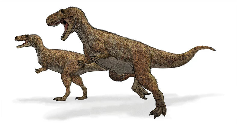 Próba rekonstrukcji wyglądu megalozaura