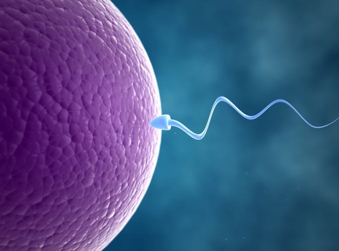 Ciąża od ręcznika