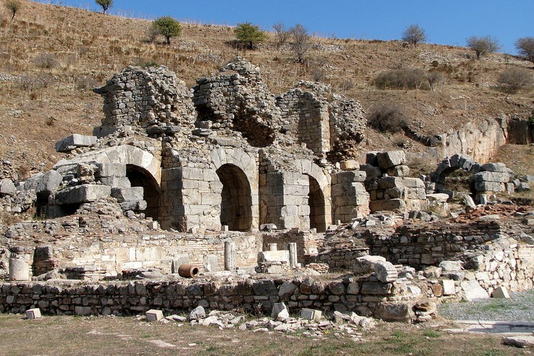 Domy na tarasach, należały do bogatszych mieszkańców Efezu. Najstarsze z nich zostały zbudowane na początku I wieku. Największy rozkwit tej dzielnicy przypada na II – IV wiek. W późniejszych stuleciach stopniowo zabudowa została zaniedbana. Ostatnie domy zostały opuszczone w połowie VII wieku. Były to typowe domy z pomieszczeniami rozmieszczonymi wokół wewnętrznego dziedzińca, atrium, otoczonego perystylem. Ogrzewane centralnie systemami zwanymi hypocaustum, zaopatrywane w wodę z niewielkich domowych fontann, ozdobione różnobarwnym marmurem, mozaikami, freskami często o tematyce mitologicznej. W niektórych domach, na parterze mieściły się sklepy. Odkryte wśród ruin przedmioty codziennego użytku, wyposażenia pomieszczeń, mozaiki i freski są eksponowane w muzeum w Selçuk.