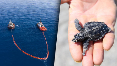 Do Morza Śródziemnego trafiły tony ropy. Wyciek zagraża środowisku