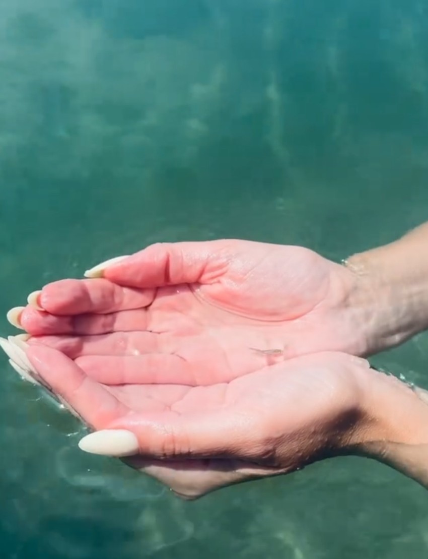 Dragana Kosjerina, objava