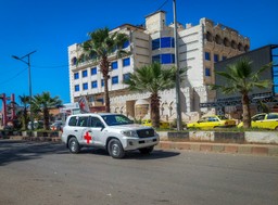 Polak przeszedł operację ratującą życie w Egipcie. Ministerstwo Zdrowia: nie sfinansujemy powrotu do Polski