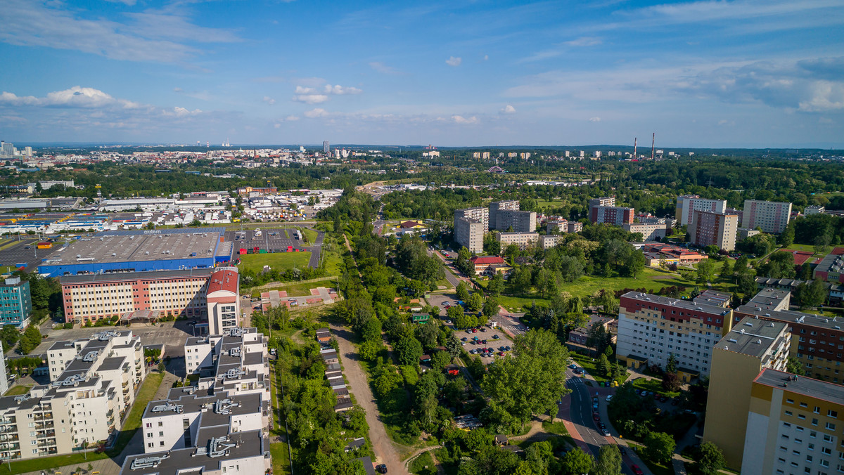 Wywiad z Tomaszem Osiorem, prezesem BD Inwestor 2 Sp. z o.o.