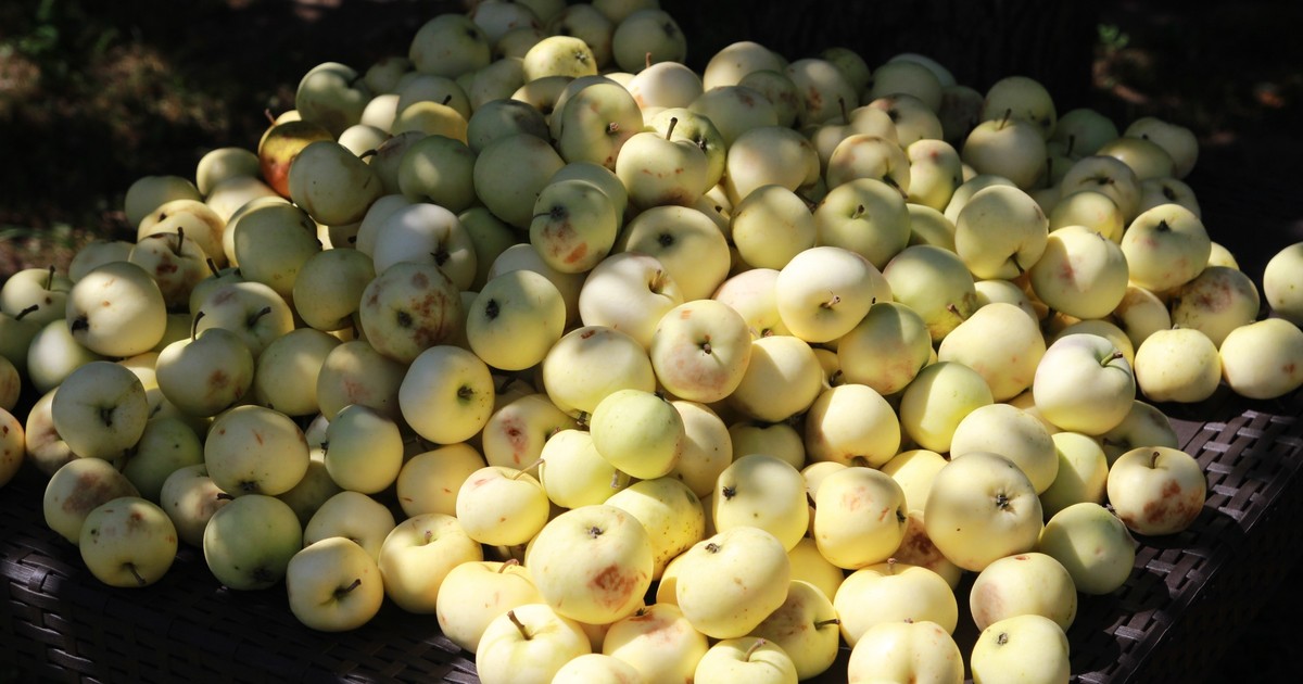 embargo pro polské výrobce potravin