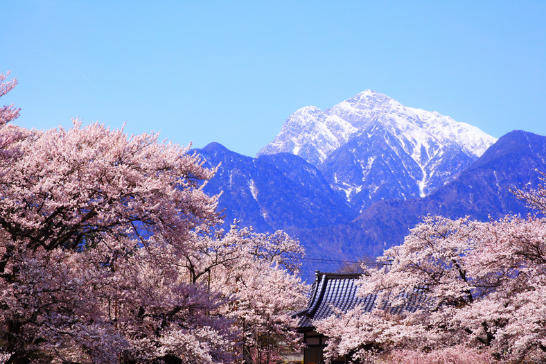 japonia