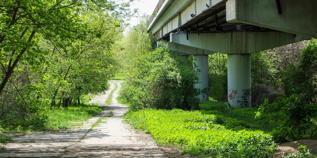 Nowe pomysły na zmiany w miejskiej sieci ścieżek rowerowych