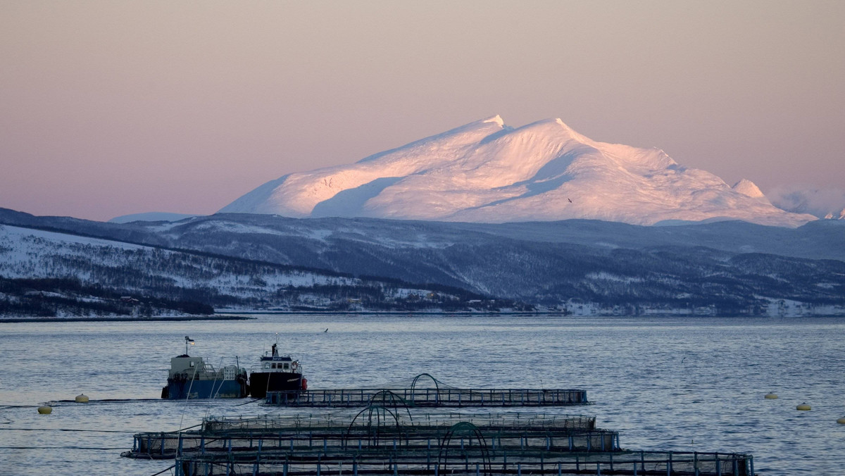 Norwescy miliarderzy uciekają do Szwajcarii. Powodem duże pieniądze