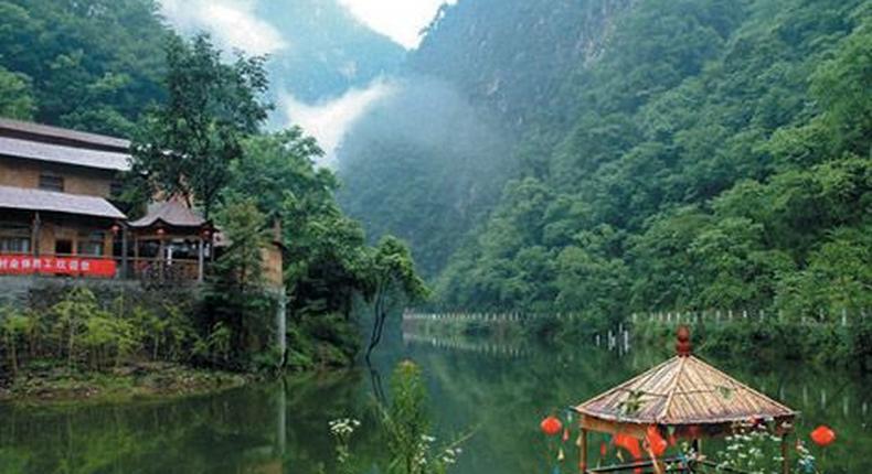 Tai National Park