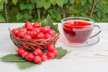 Életmentő galagonya? Ismerje meg jobban ezt a gyógynövényt!