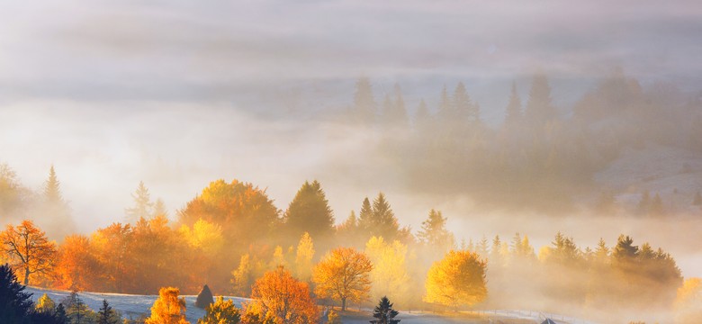 Rekordowe temperatury. Czerwony alert – meteorolodzy biją na alarm